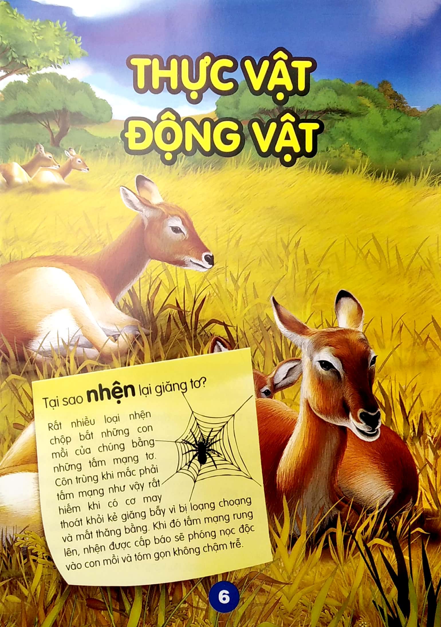 chìa khóa mở cửa thế giới - em muốn biết tại sao? - Ảnh 4