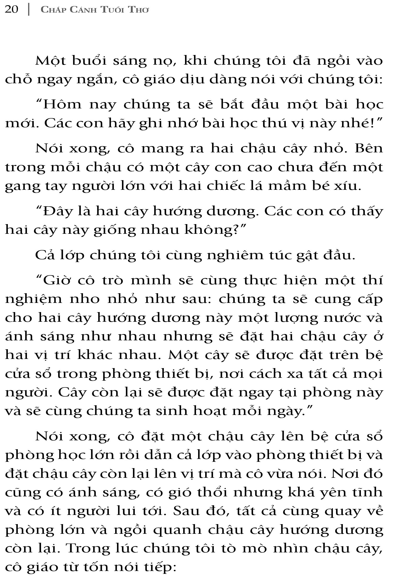 chicken soup for the kid's soul - chắp cánh tuổi thơ - Ảnh 4