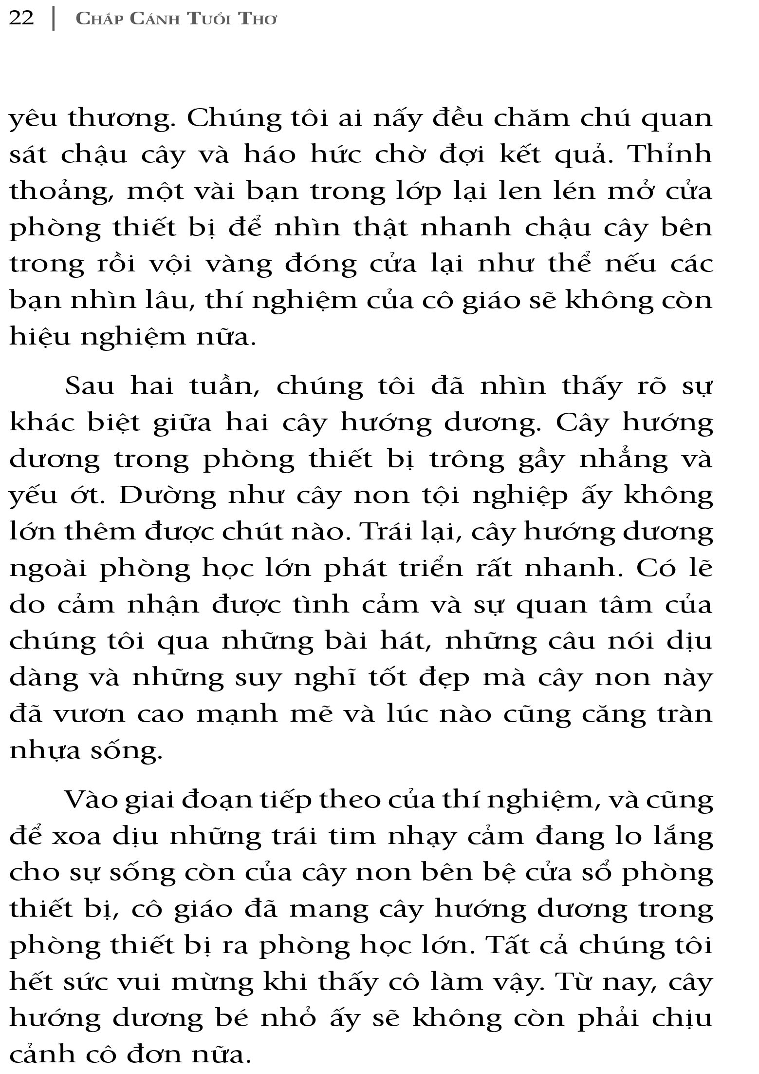 chicken soup for the kid's soul - chắp cánh tuổi thơ - Ảnh 6