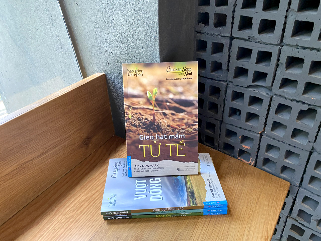 chicken soup for the soul - gieo hạt mầm tử tế - Ảnh 7