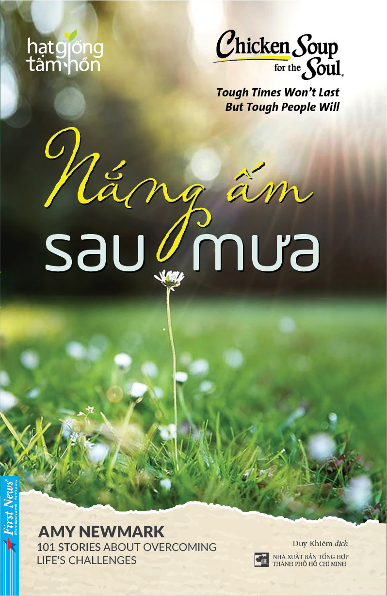 chicken soup for the soul - nắng ấm sau mưa - Ảnh 2