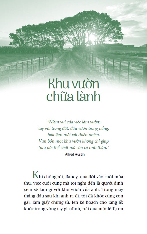 chicken soup for the soul - nắng ấm sau mưa - Ảnh 3