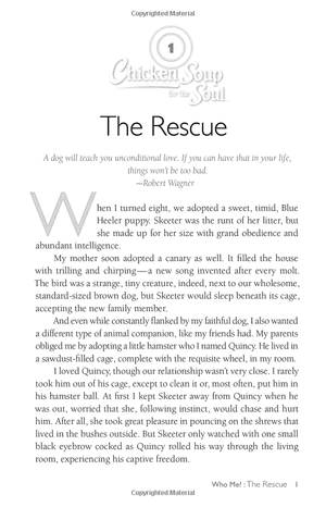 chicken soup for the soul: the dog did what?: 101 amazing stories of magical moments, miracles and... mayhem - Ảnh 10