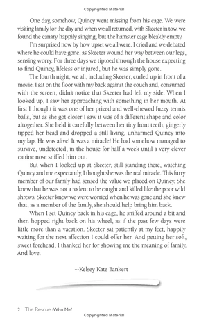 chicken soup for the soul: the dog did what?: 101 amazing stories of magical moments, miracles and... mayhem - Ảnh 11