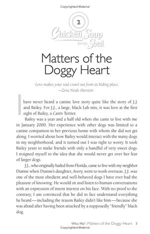 chicken soup for the soul: the dog did what?: 101 amazing stories of magical moments, miracles and... mayhem - Ảnh 12