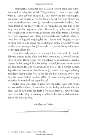 chicken soup for the soul: the dog did what?: 101 amazing stories of magical moments, miracles and... mayhem - Ảnh 13