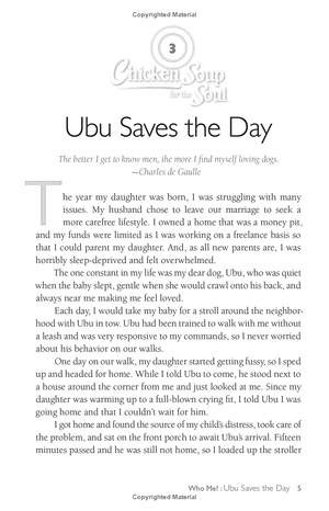 chicken soup for the soul: the dog did what?: 101 amazing stories of magical moments, miracles and... mayhem - Ảnh 14