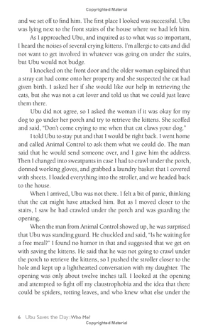 chicken soup for the soul: the dog did what?: 101 amazing stories of magical moments, miracles and... mayhem - Ảnh 15