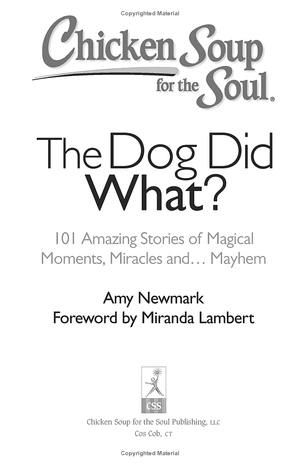 chicken soup for the soul: the dog did what?: 101 amazing stories of magical moments, miracles and... mayhem - Ảnh 4