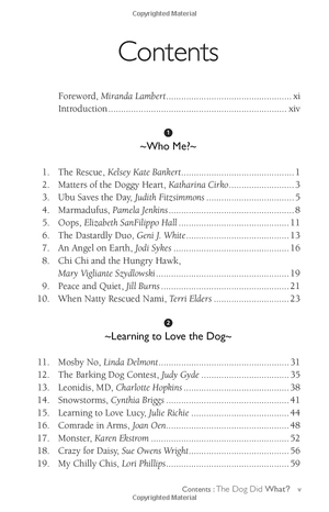 chicken soup for the soul: the dog did what?: 101 amazing stories of magical moments, miracles and... mayhem - Ảnh 5