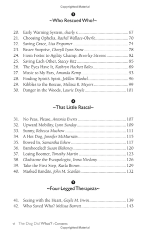 chicken soup for the soul: the dog did what?: 101 amazing stories of magical moments, miracles and... mayhem - Ảnh 6