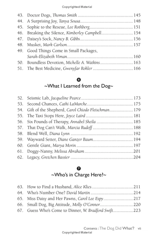 chicken soup for the soul: the dog did what?: 101 amazing stories of magical moments, miracles and... mayhem - Ảnh 7