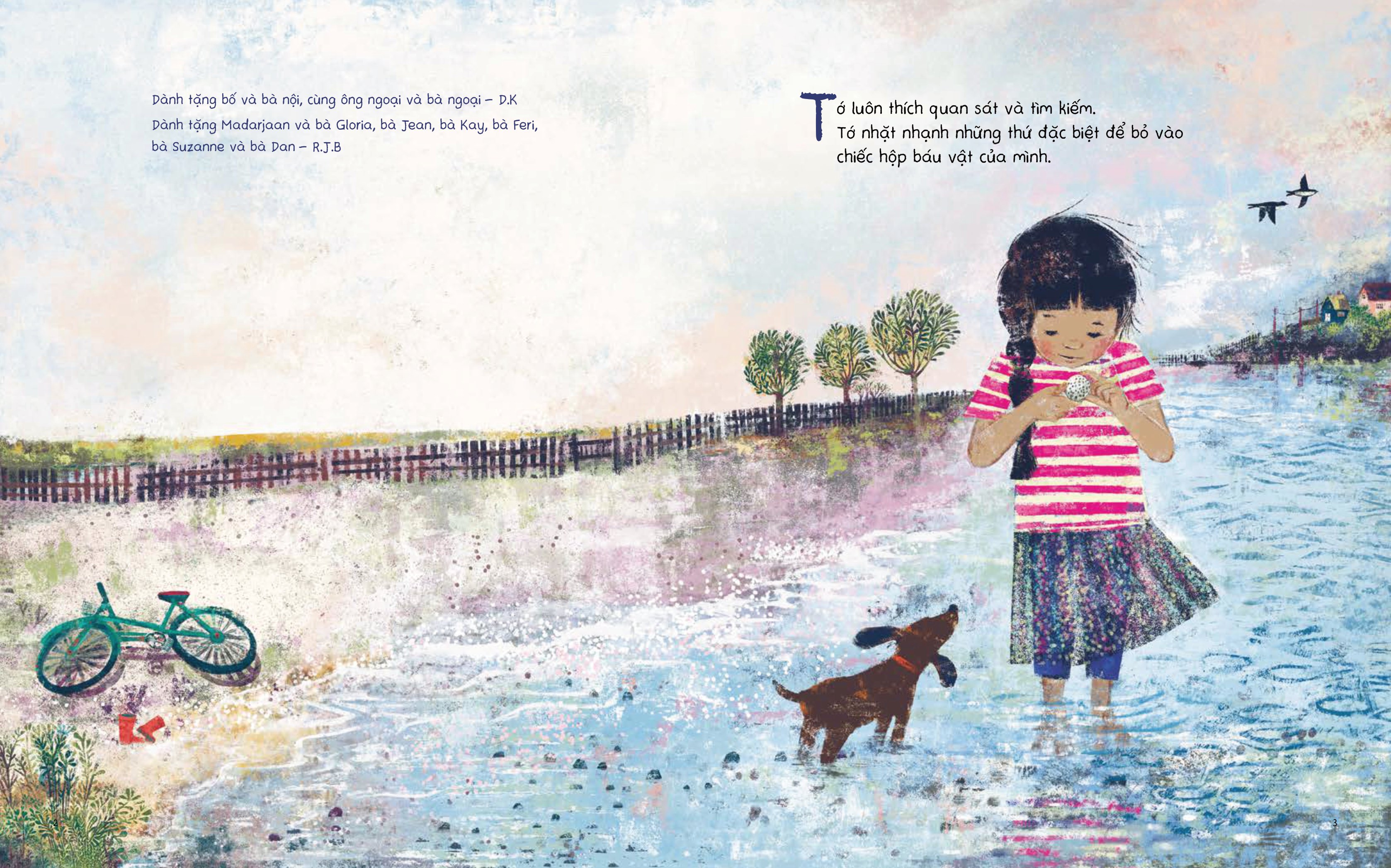 chiếc hộp báu vật - Ảnh 3