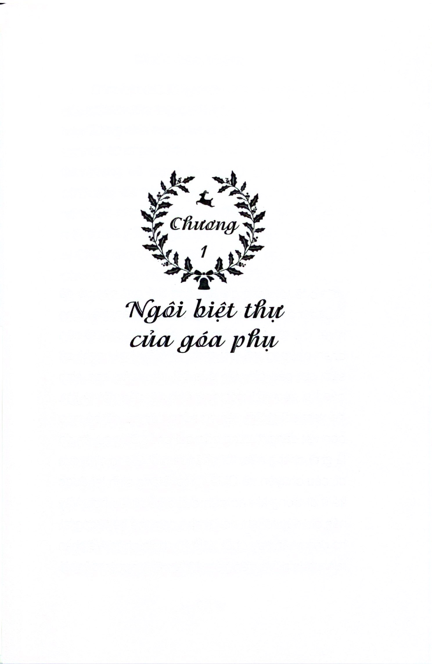 chiếc hộp giáng sinh - Ảnh 4