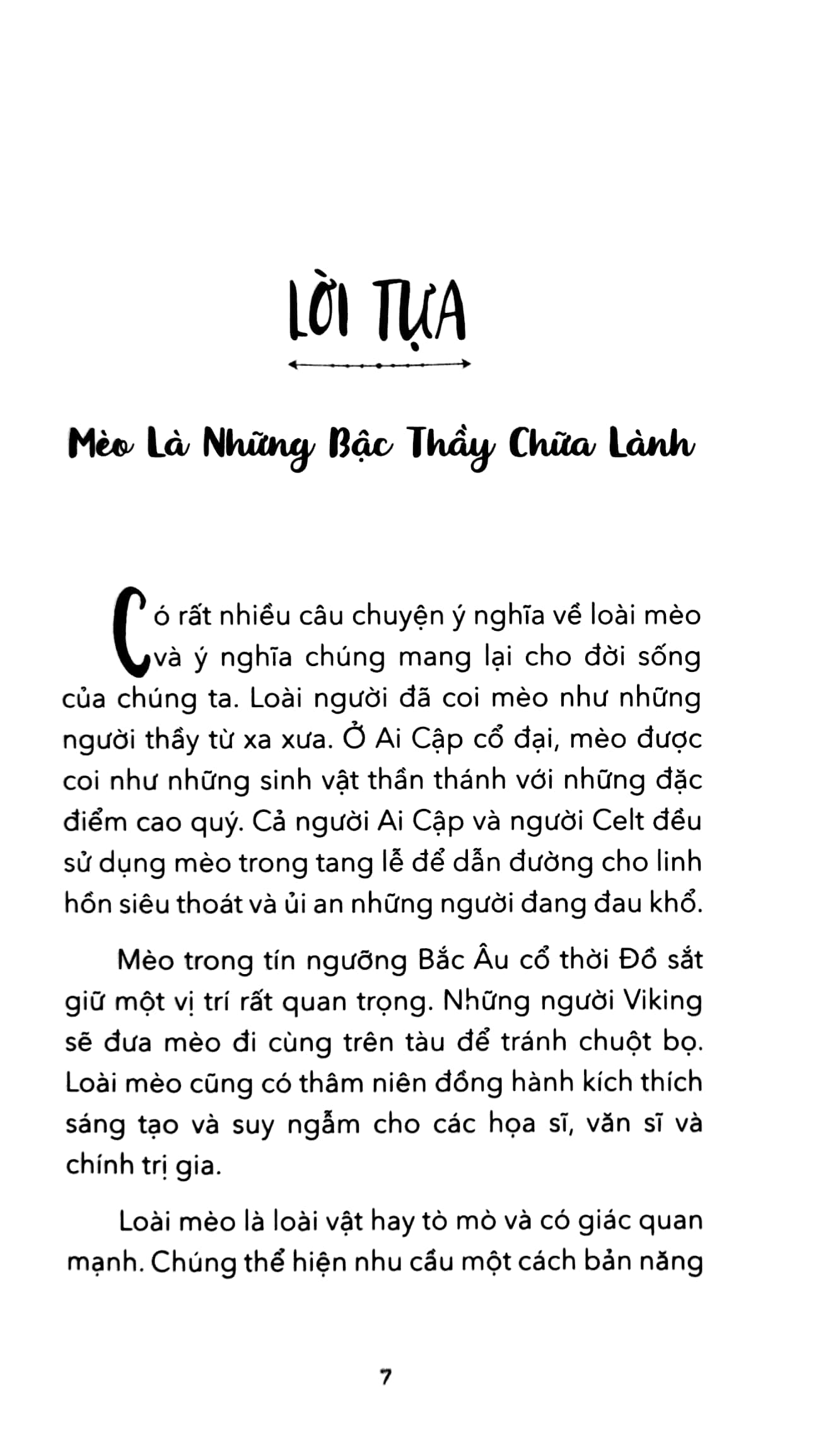 chiếc mèo kỳ diệu - Ảnh 4
