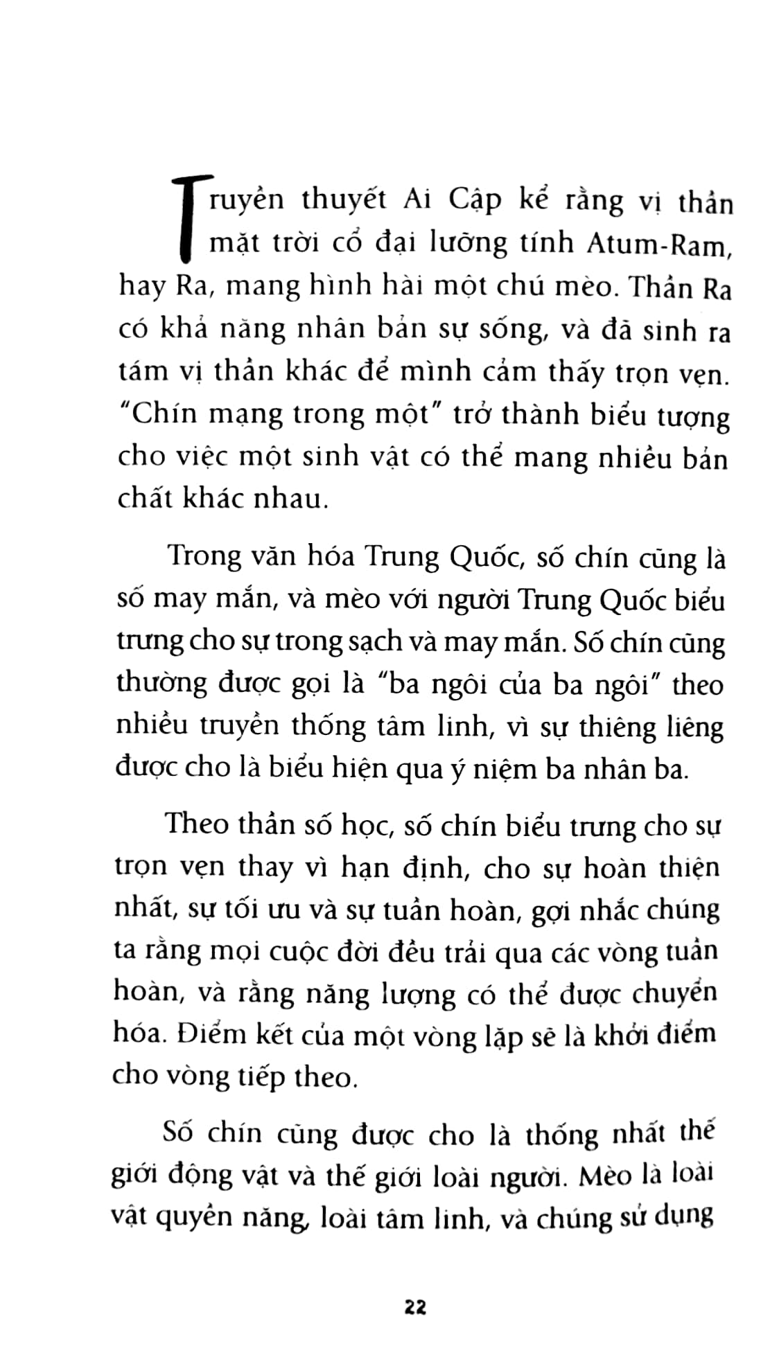 chiếc mèo kỳ diệu - Ảnh 5