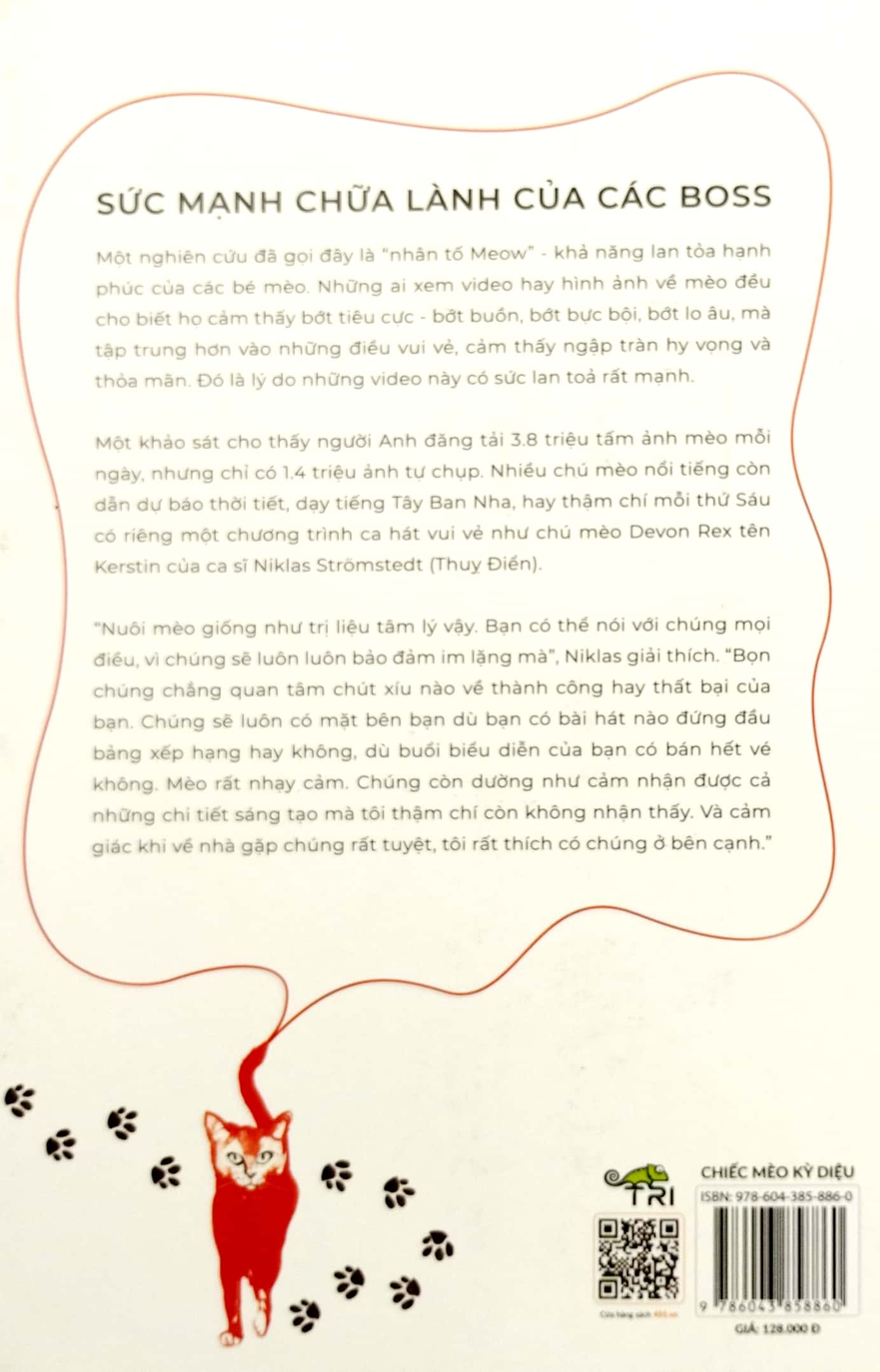 chiếc mèo kỳ diệu - Ảnh 6