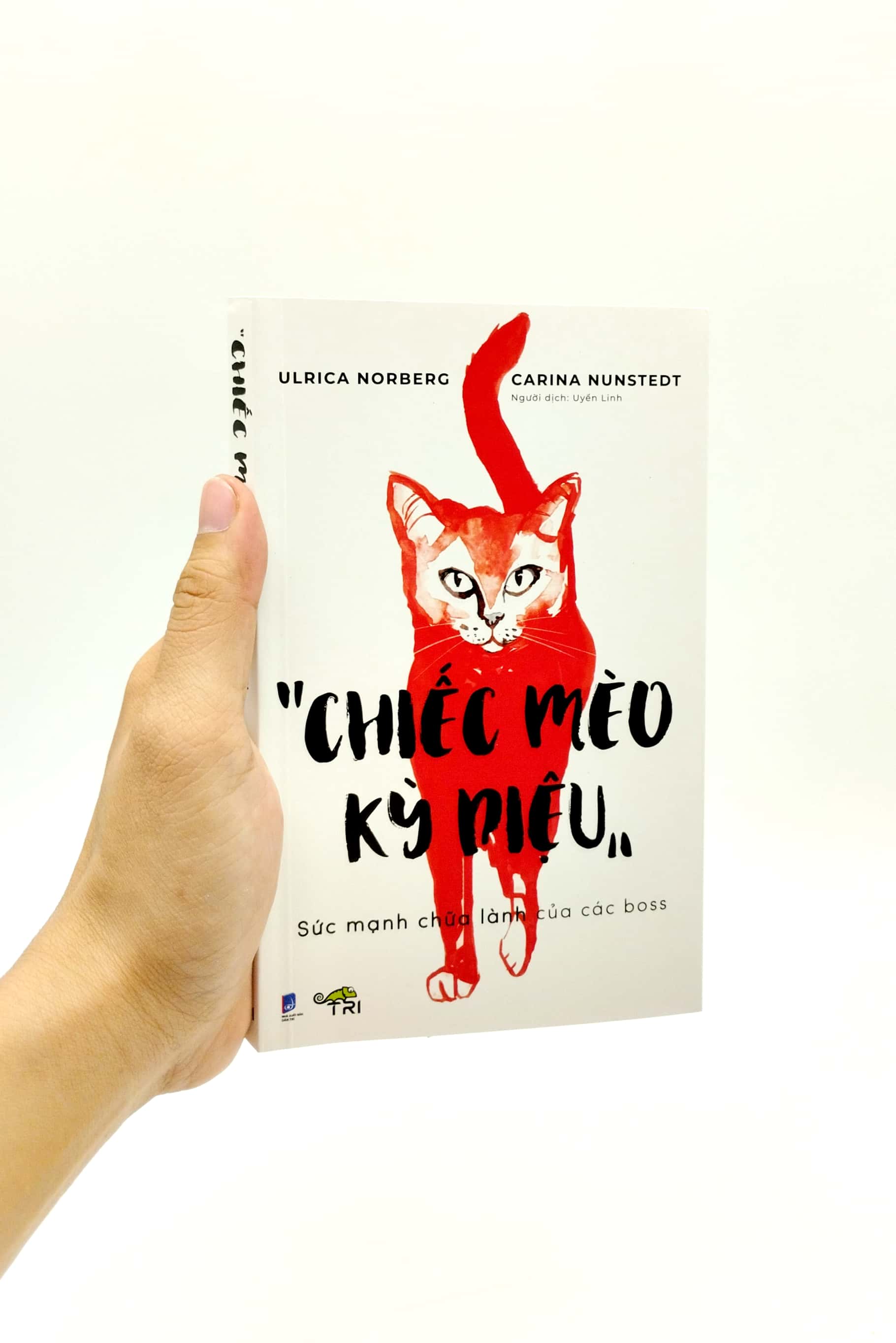 chiếc mèo kỳ diệu - Ảnh 7