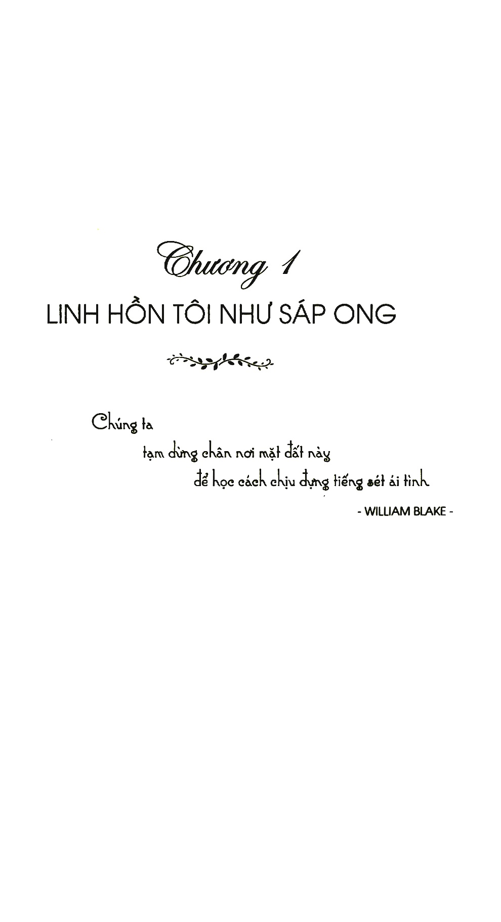 chiếc thang cao màu xanh - Ảnh 3