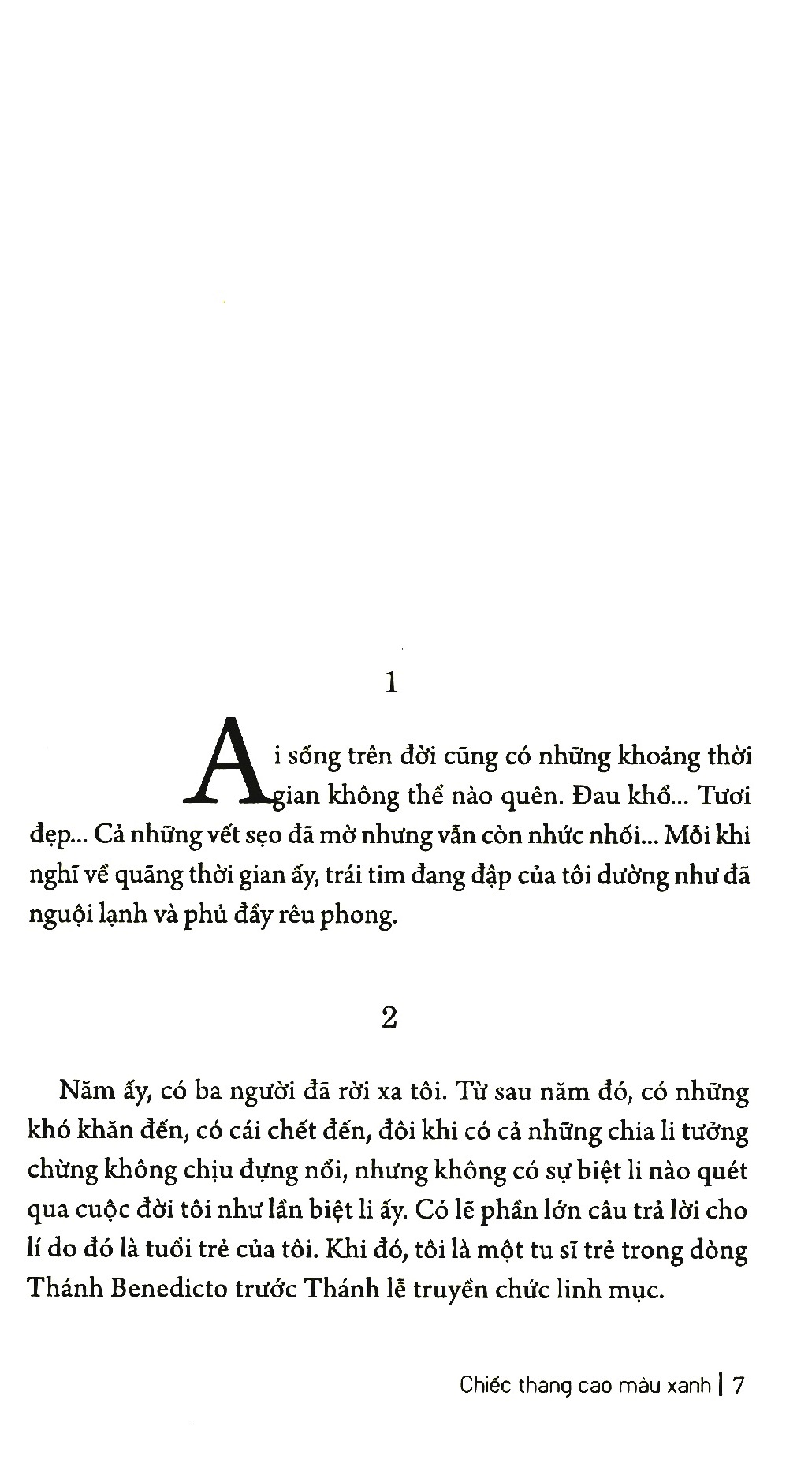 chiếc thang cao màu xanh - Ảnh 4