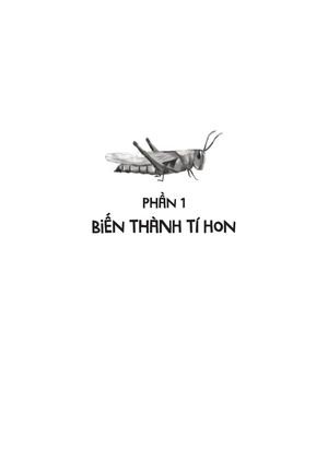 chiến binh tí hon trong thế giới côn trùng - tập 1 - Ảnh 3