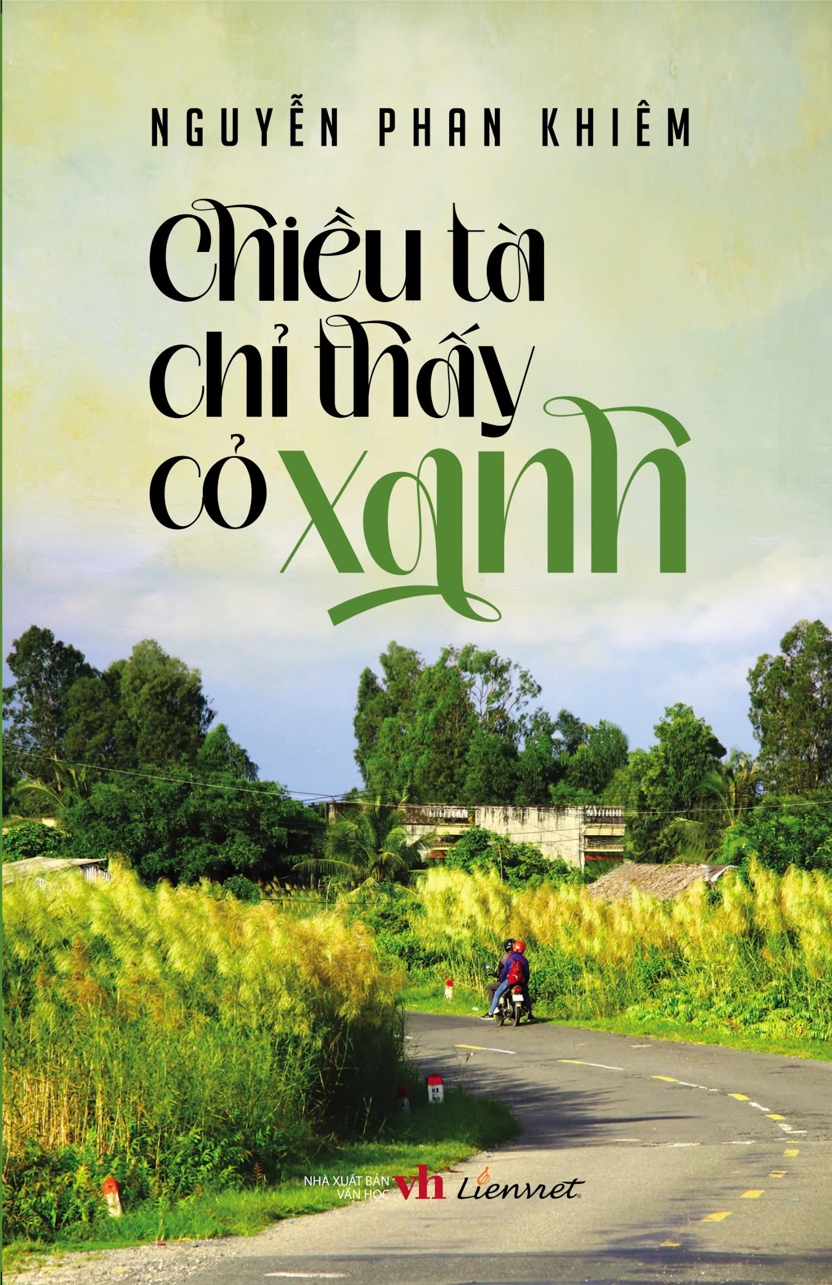 chiều tà chỉ thấy cỏ xanh - Ảnh 2