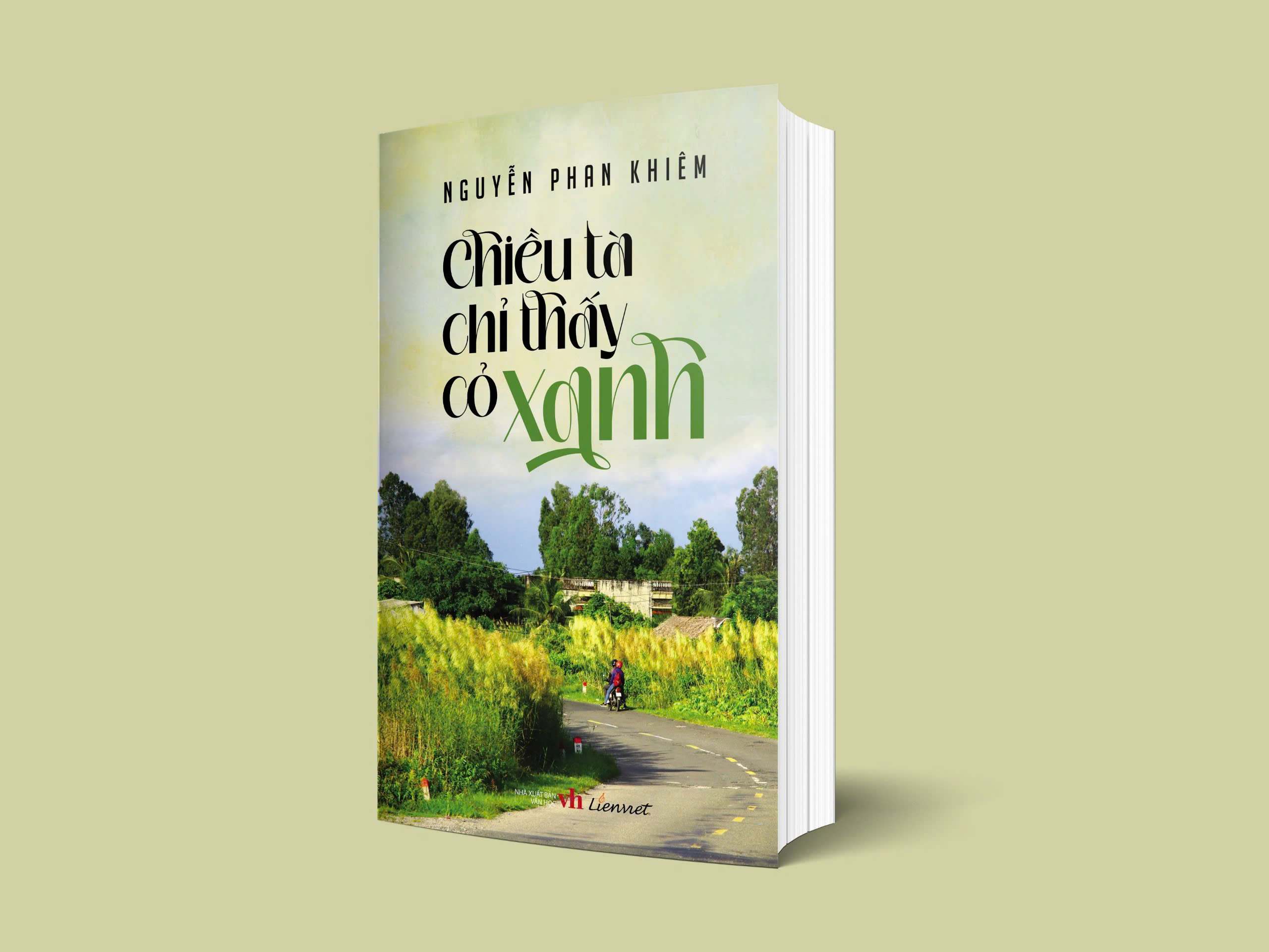 chiều tà chỉ thấy cỏ xanh - Ảnh 3