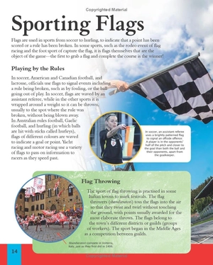 children's encyclopedia of flags - Ảnh 6