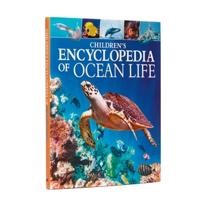 children's encyclopedia of ocean life - Ảnh 2