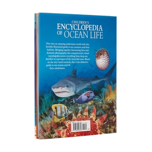 children's encyclopedia of ocean life - Ảnh 5