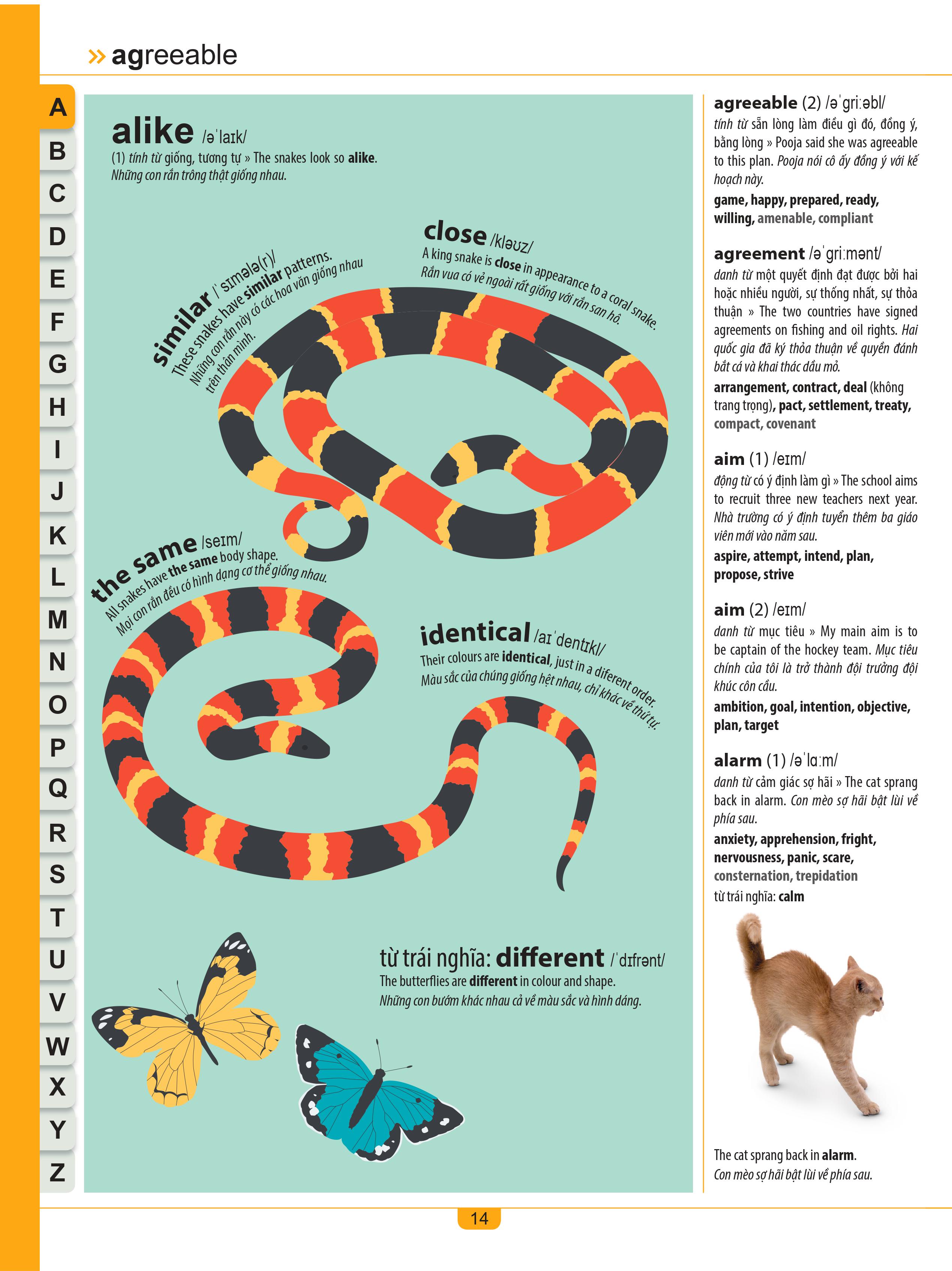 children's illustrated thesaurus - từ điển đồng nghĩa dành cho trẻ em - Ảnh 9