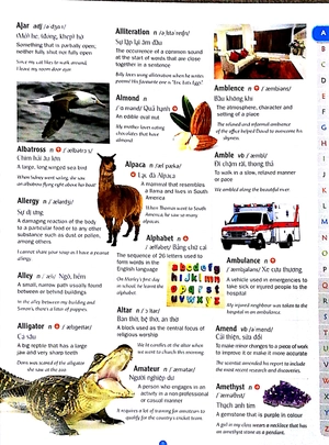 childrens picture dictionary - từ điển tranh dành cho trẻ em - Ảnh 11