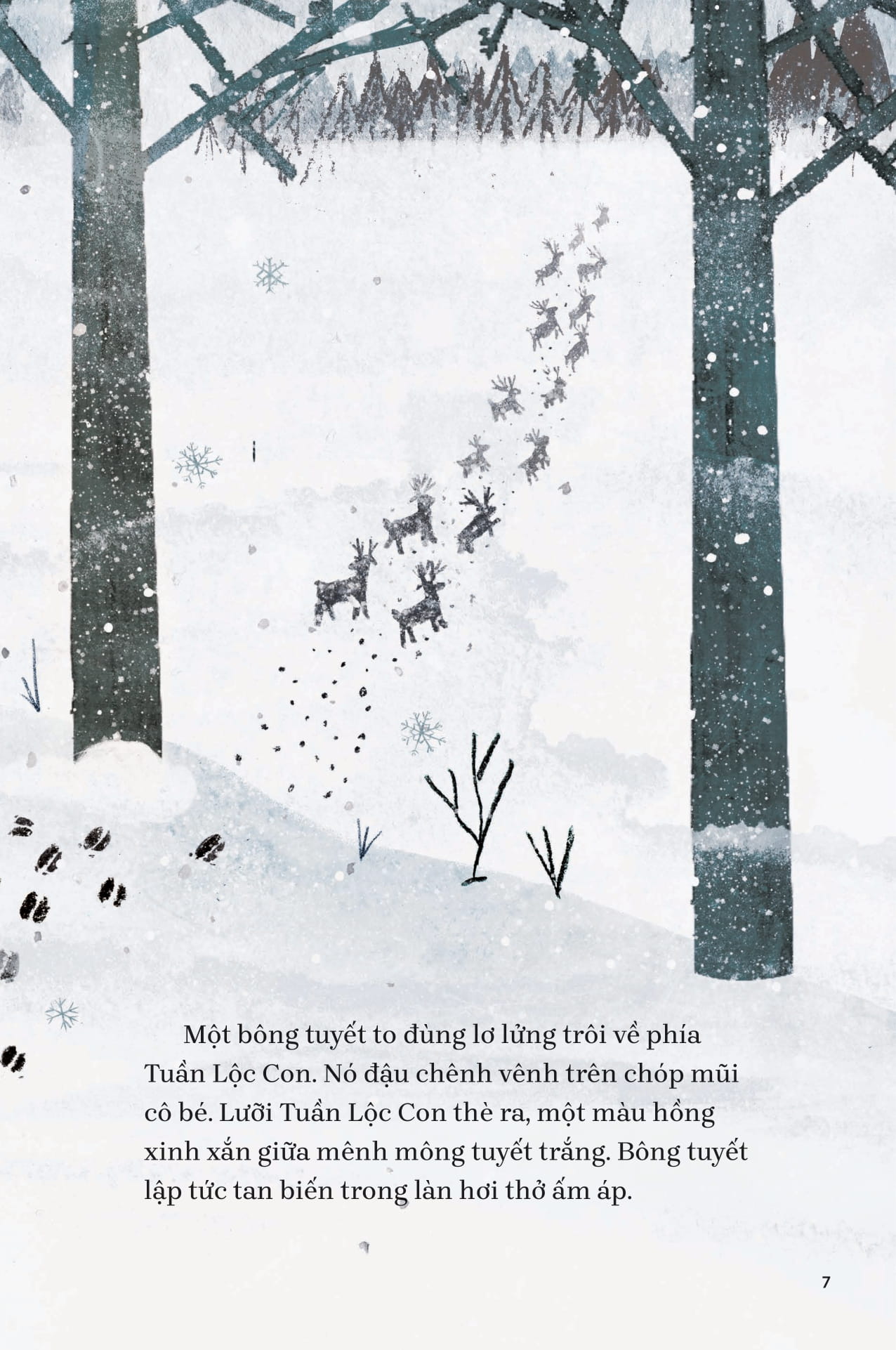 Chim Co Do Va Tuan Loc - Ảnh 2