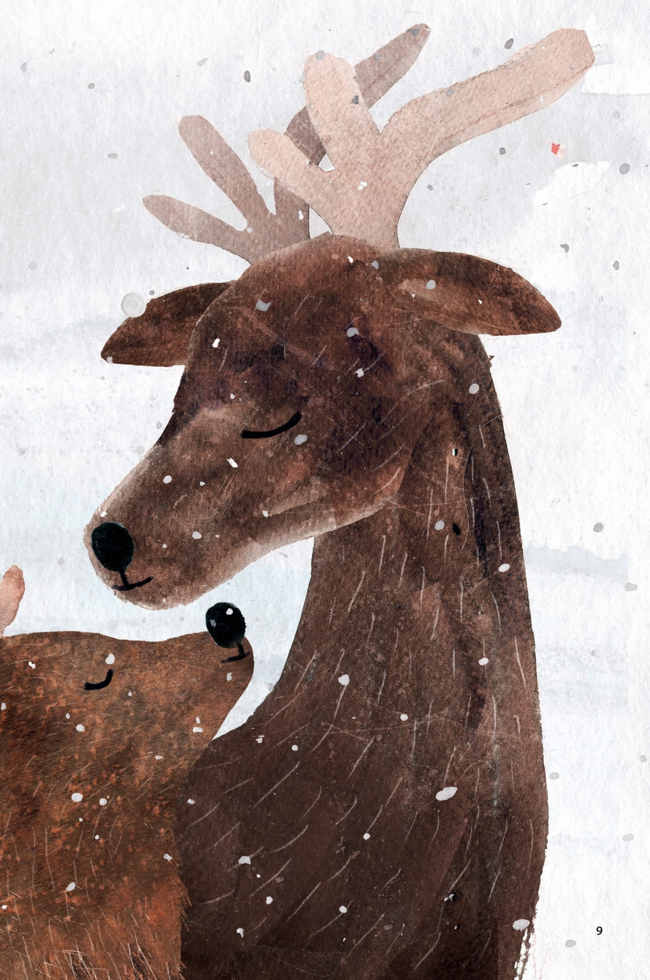 Chim Co Do Va Tuan Loc - Ảnh 4