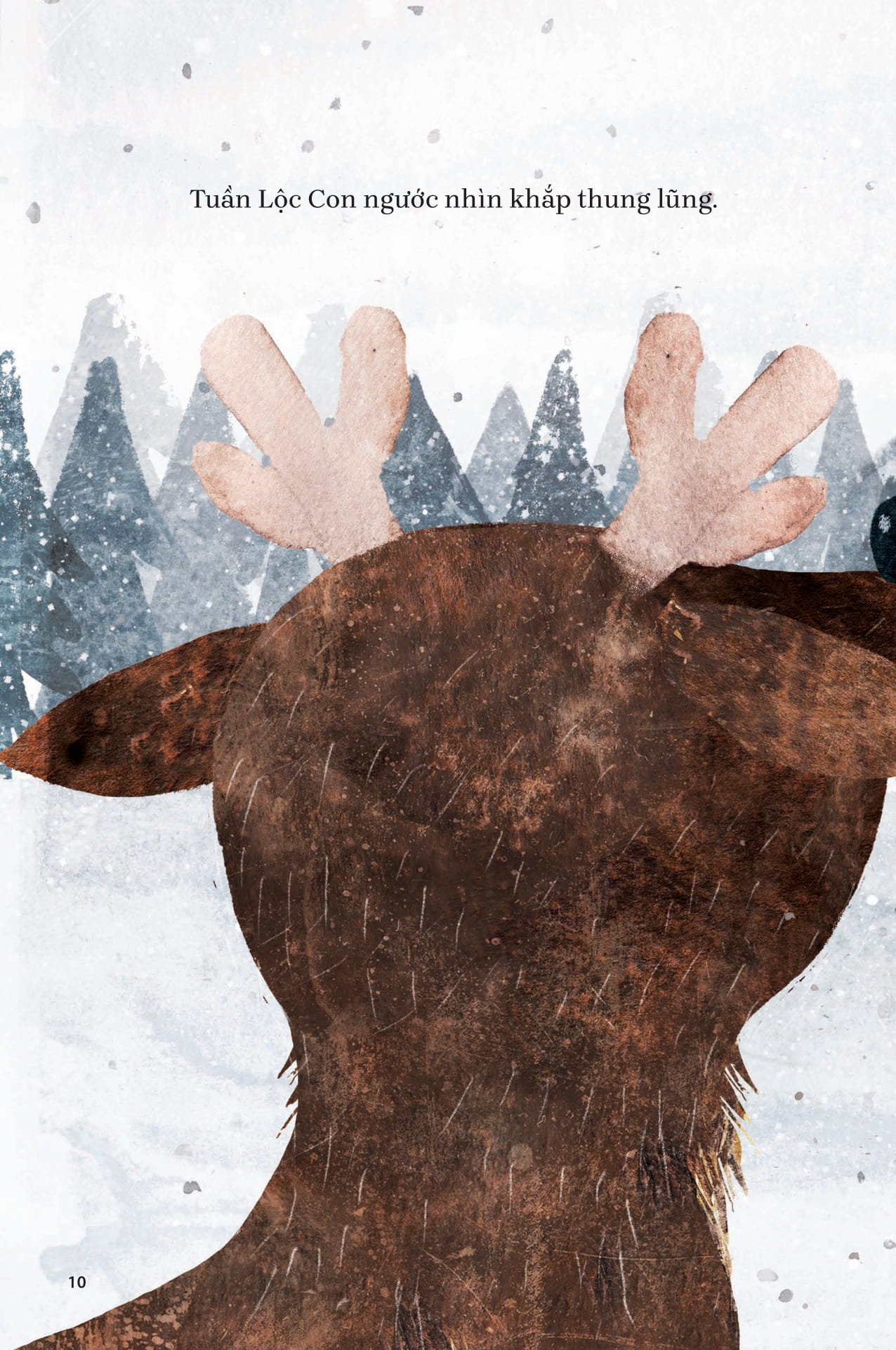 Chim Co Do Va Tuan Loc - Ảnh 5