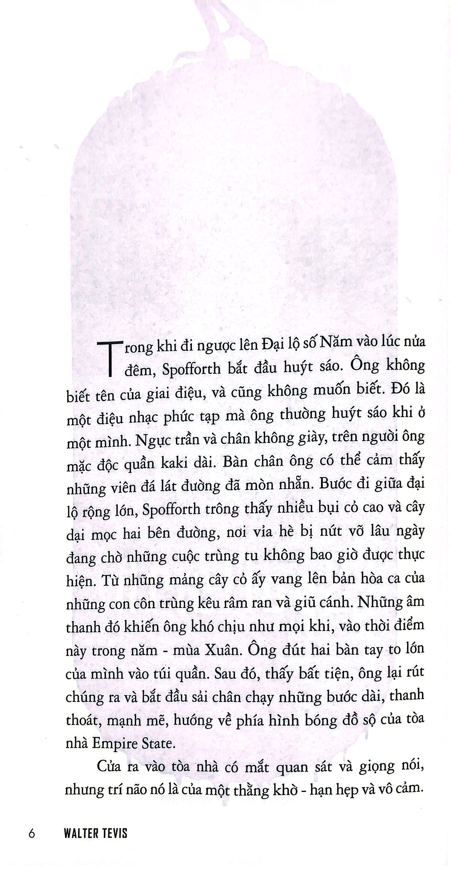 chim nhại - chỉ có chim nhại hót ở bìa rừng - Ảnh 3