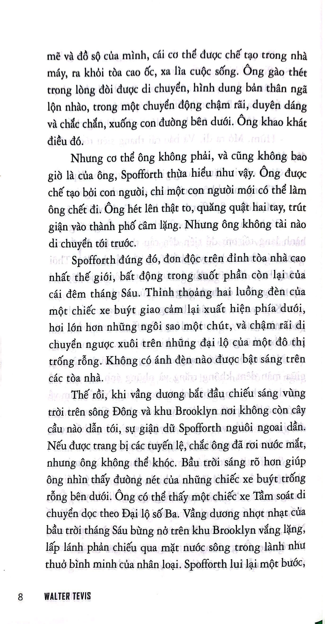 chim nhại - chỉ có chim nhại hót ở bìa rừng - Ảnh 5