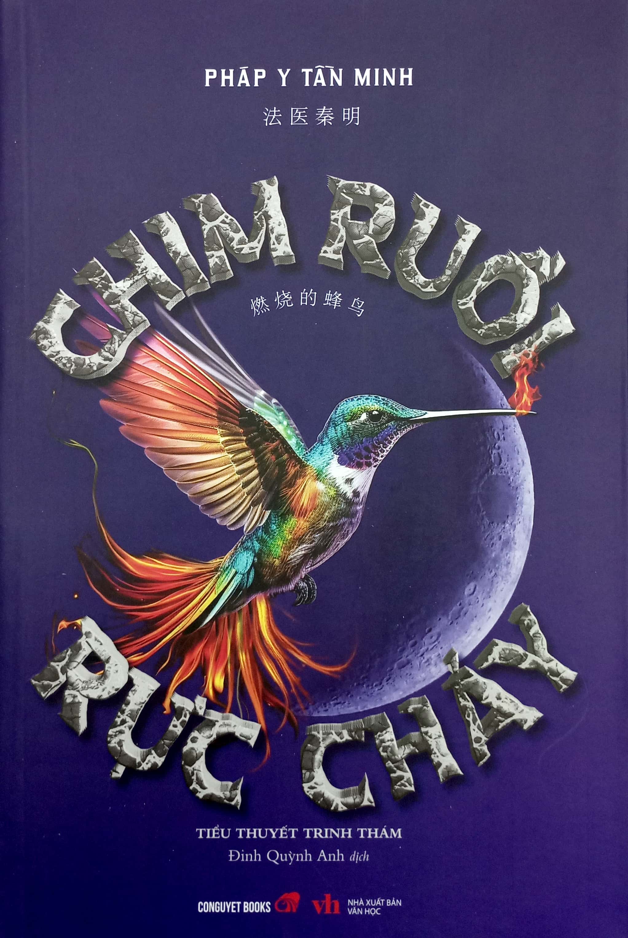 chim ruồi rực cháy - Ảnh 3