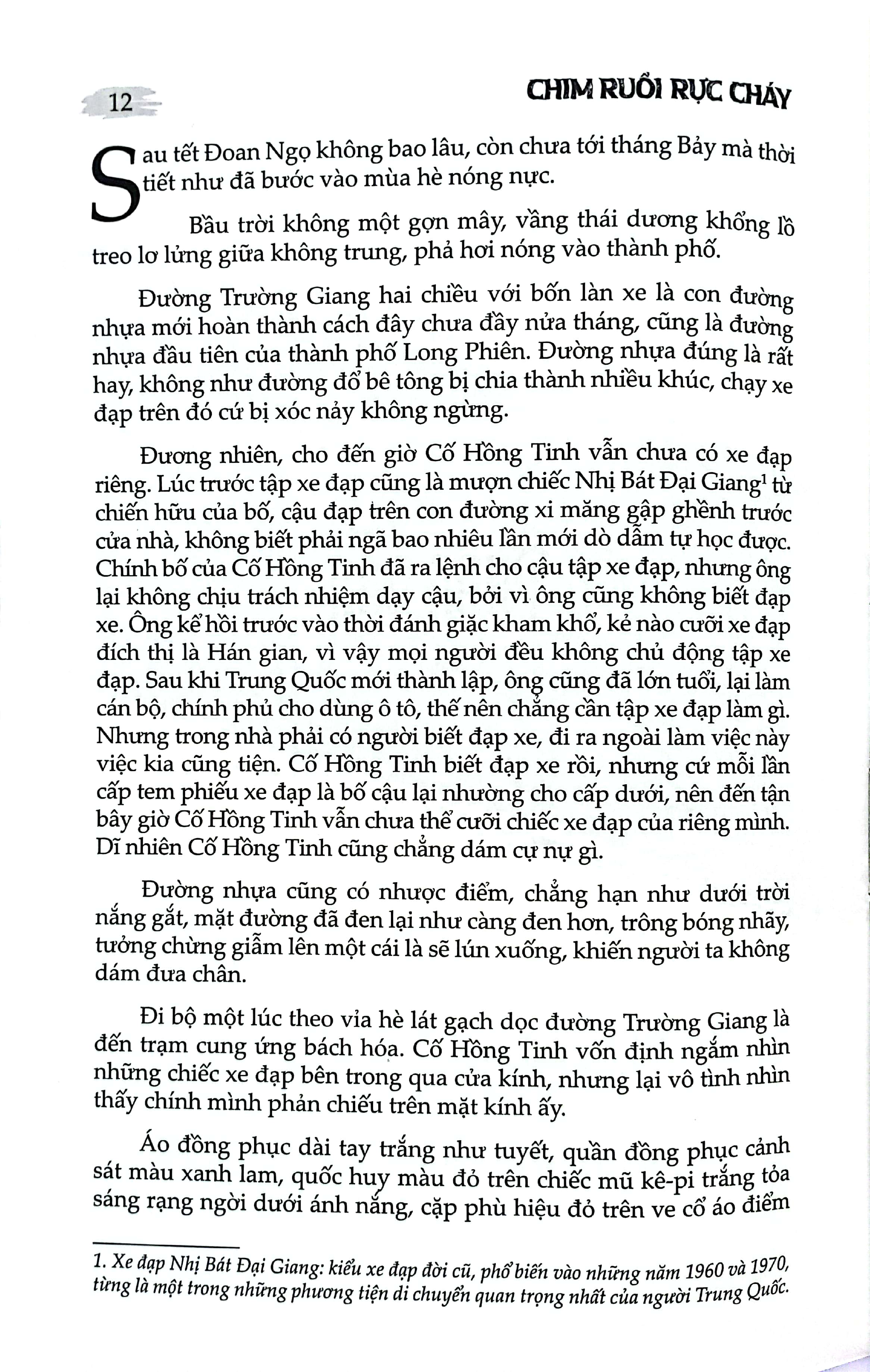 chim ruồi rực cháy - Ảnh 5