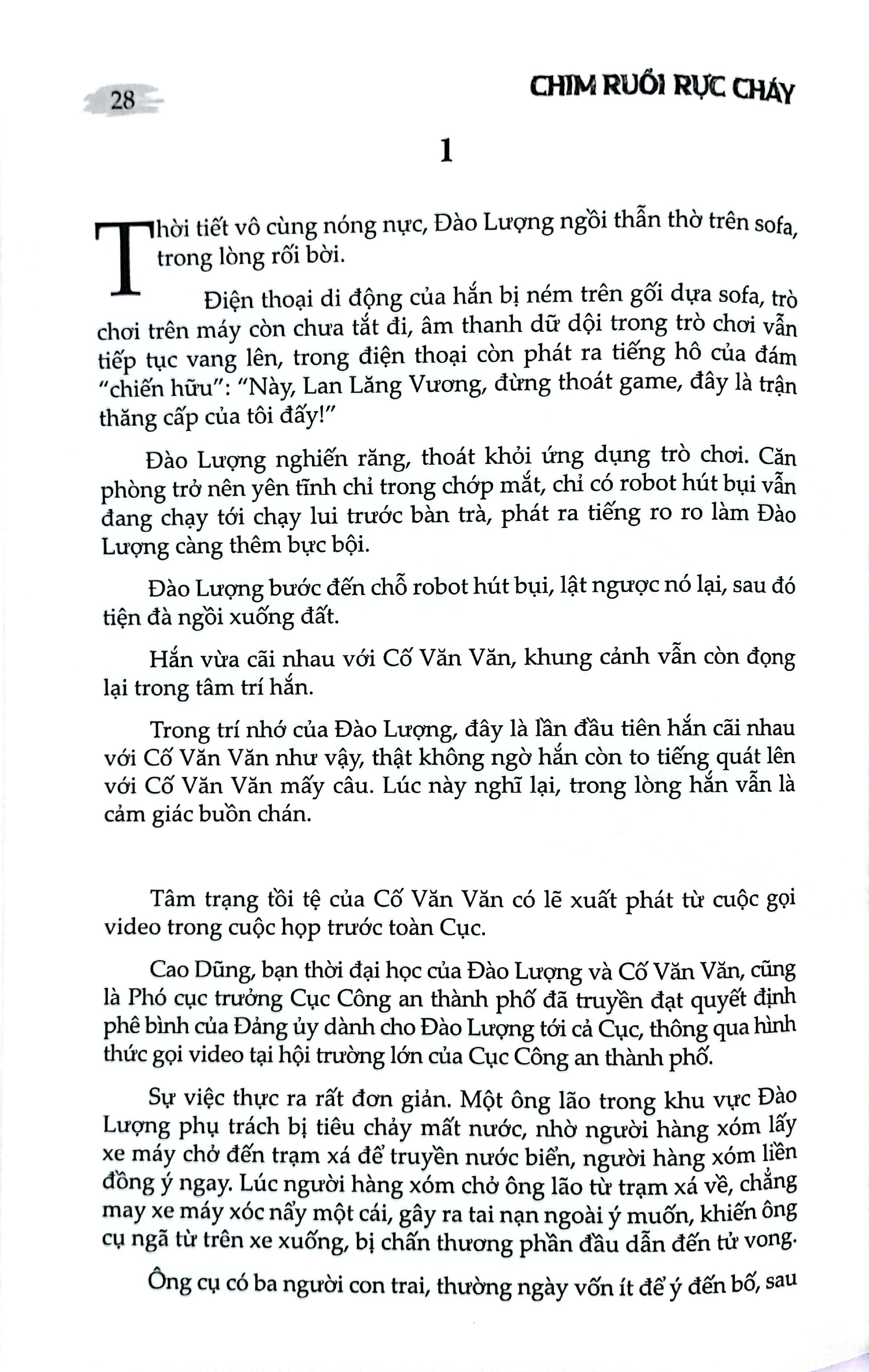 chim ruồi rực cháy - Ảnh 6