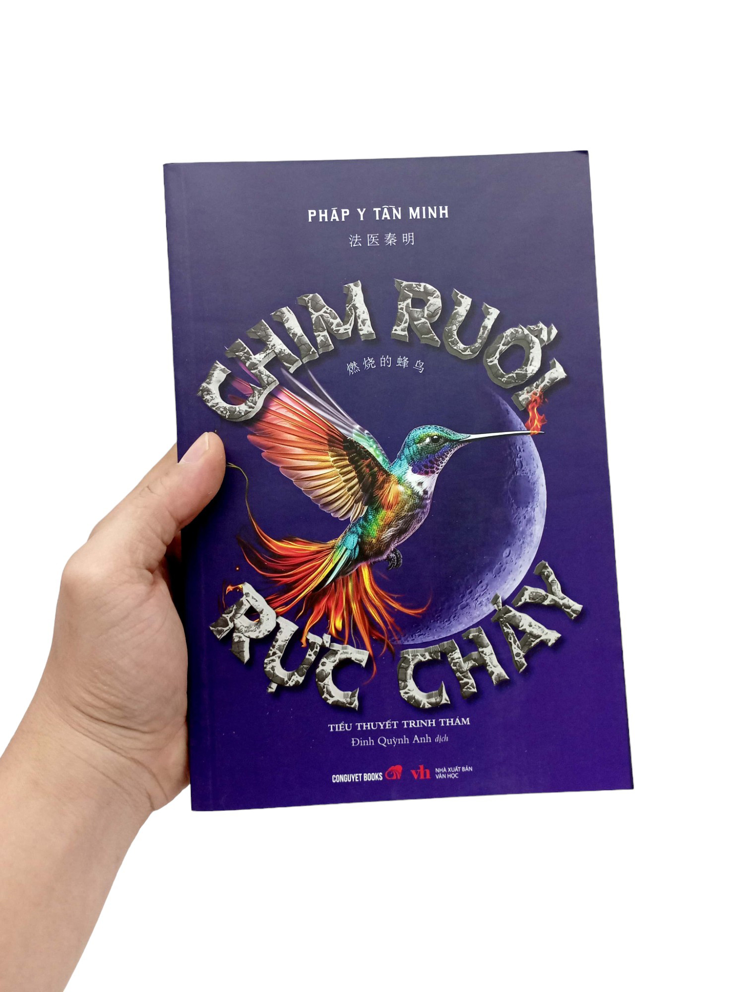chim ruồi rực cháy - Ảnh 8