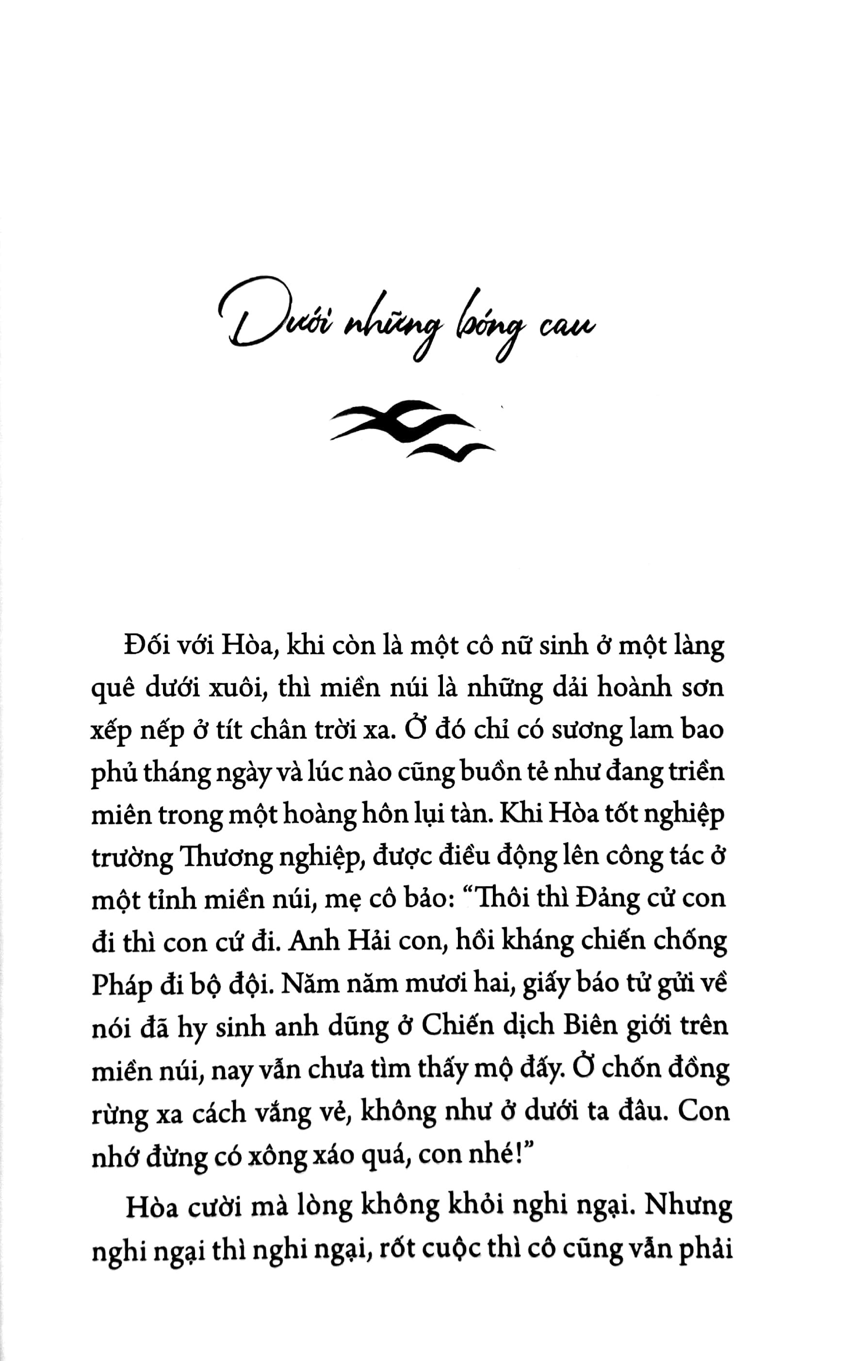 chim trời bay về sau cơn mưa - Ảnh 5