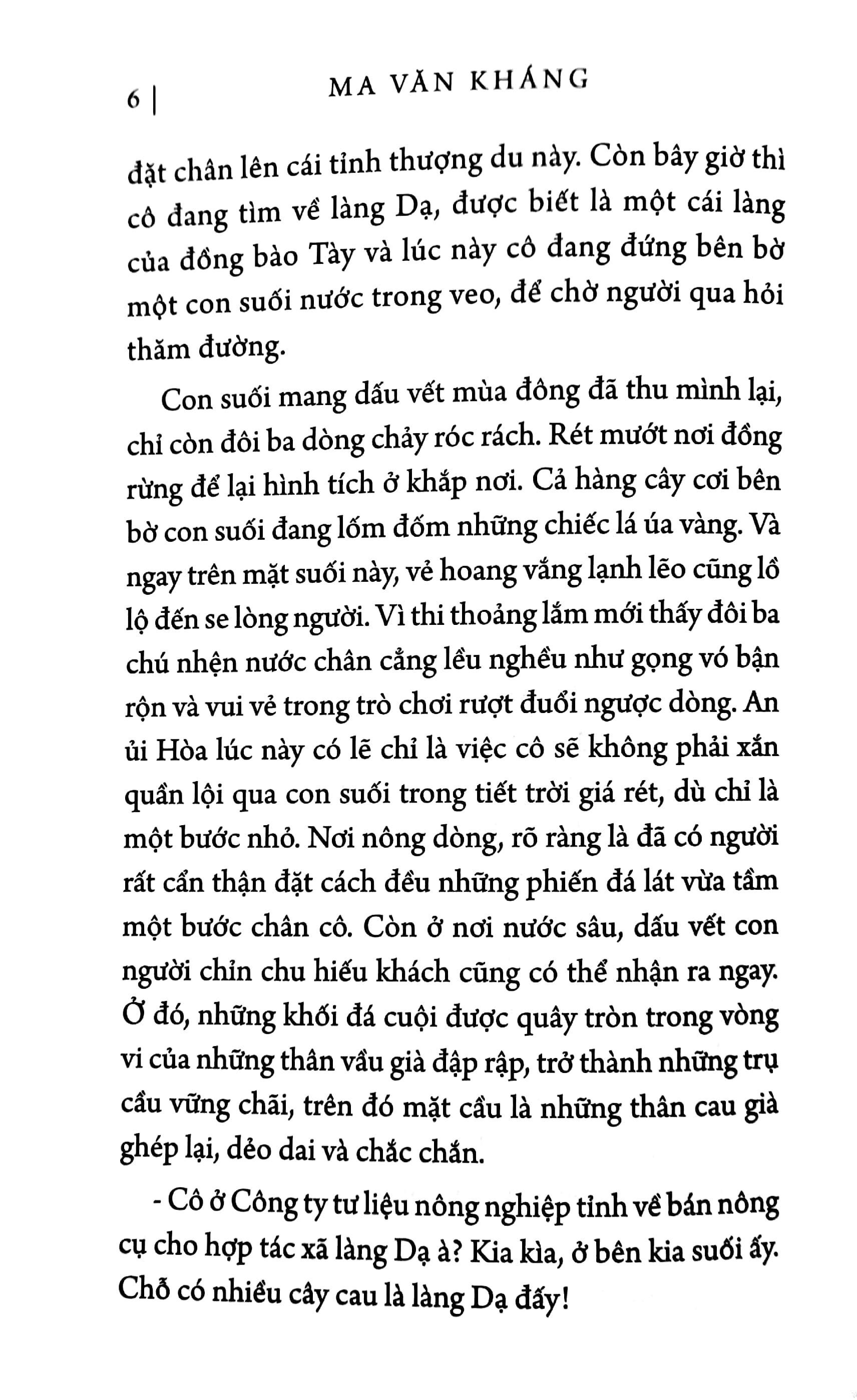 chim trời bay về sau cơn mưa - Ảnh 6