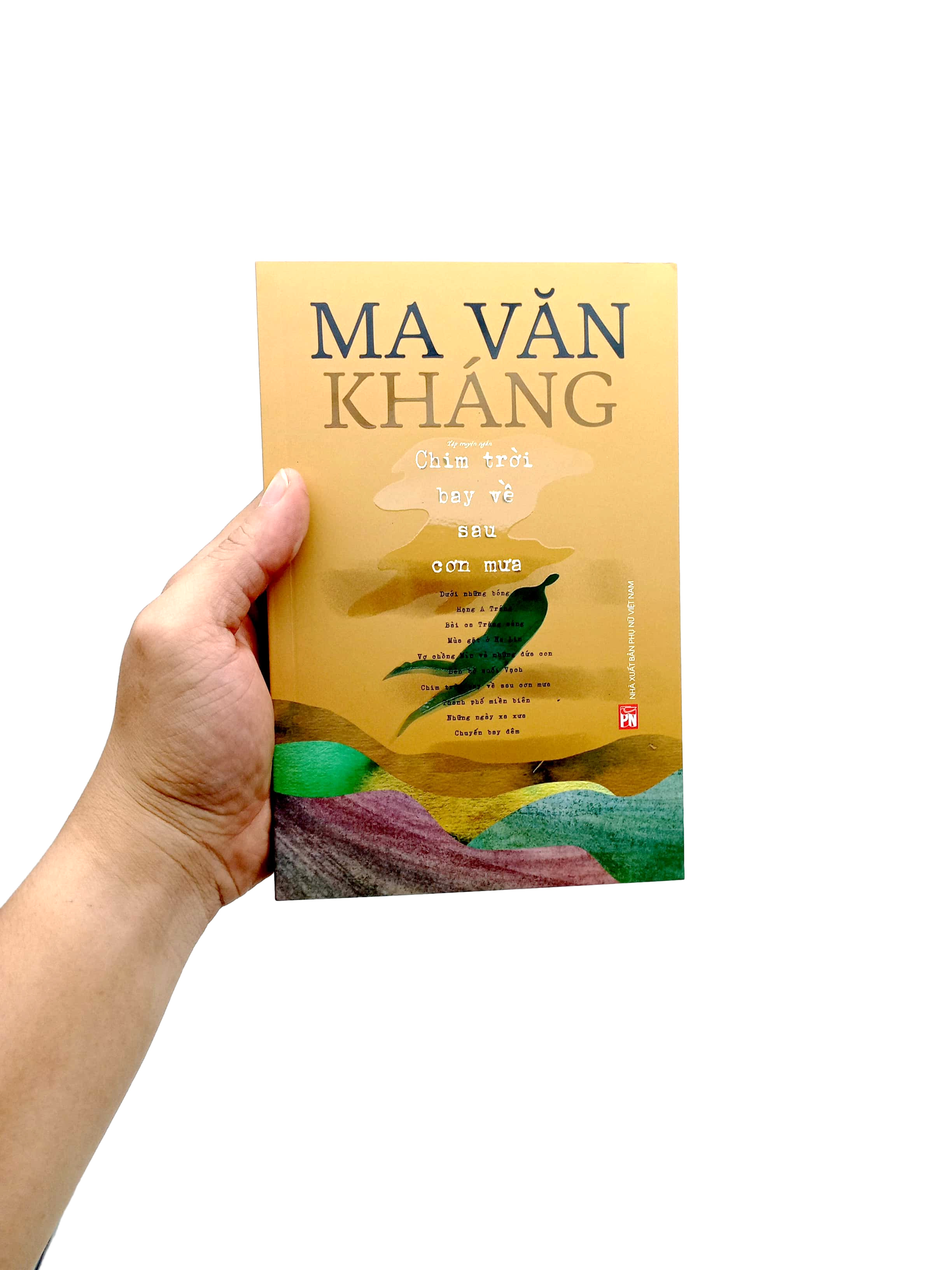 chim trời bay về sau cơn mưa - Ảnh 8