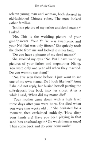 chinese cinderella - Ảnh 6