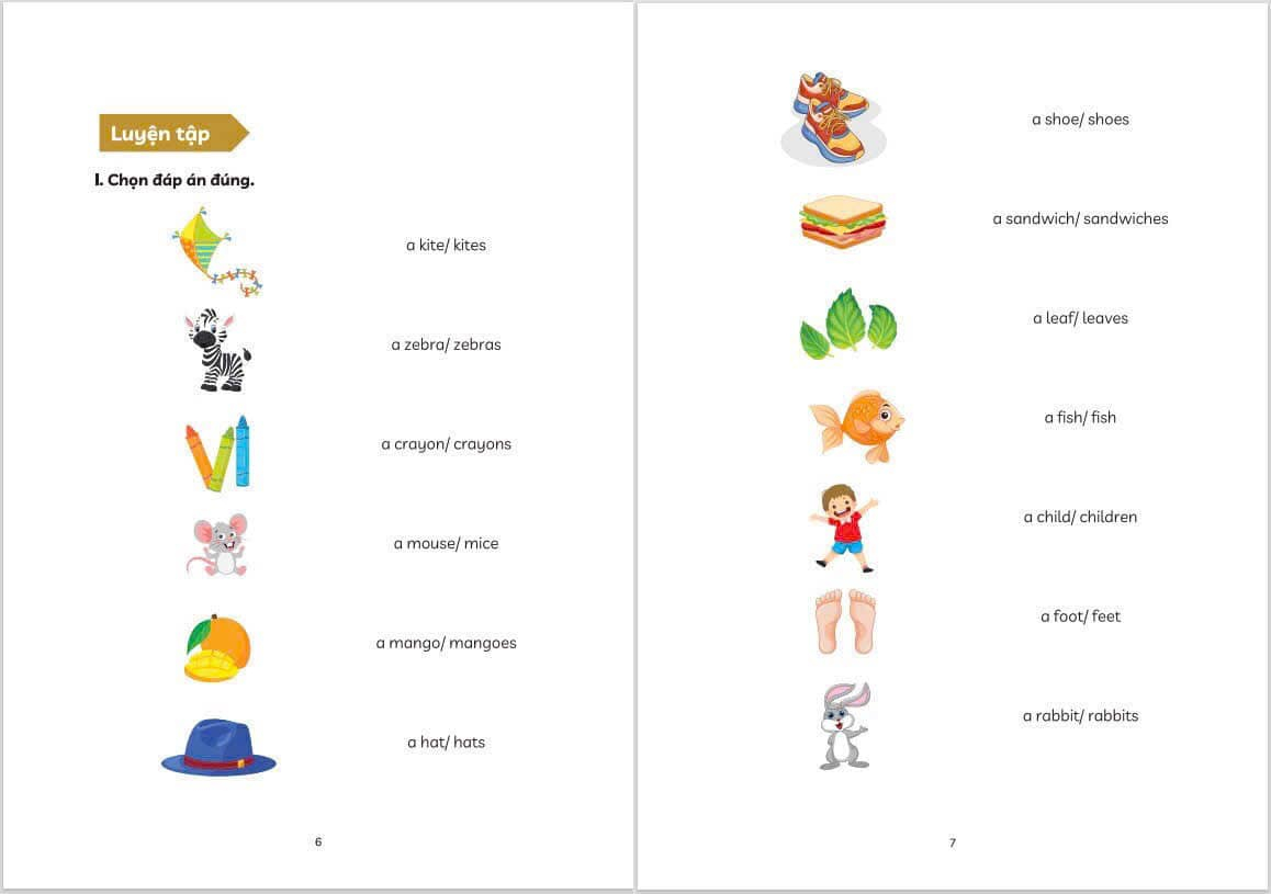 Chinh Phuc Ngu Phap Tieng Anh - Danh Cho Hoc Sinh Tieu Hoc - Ảnh 5