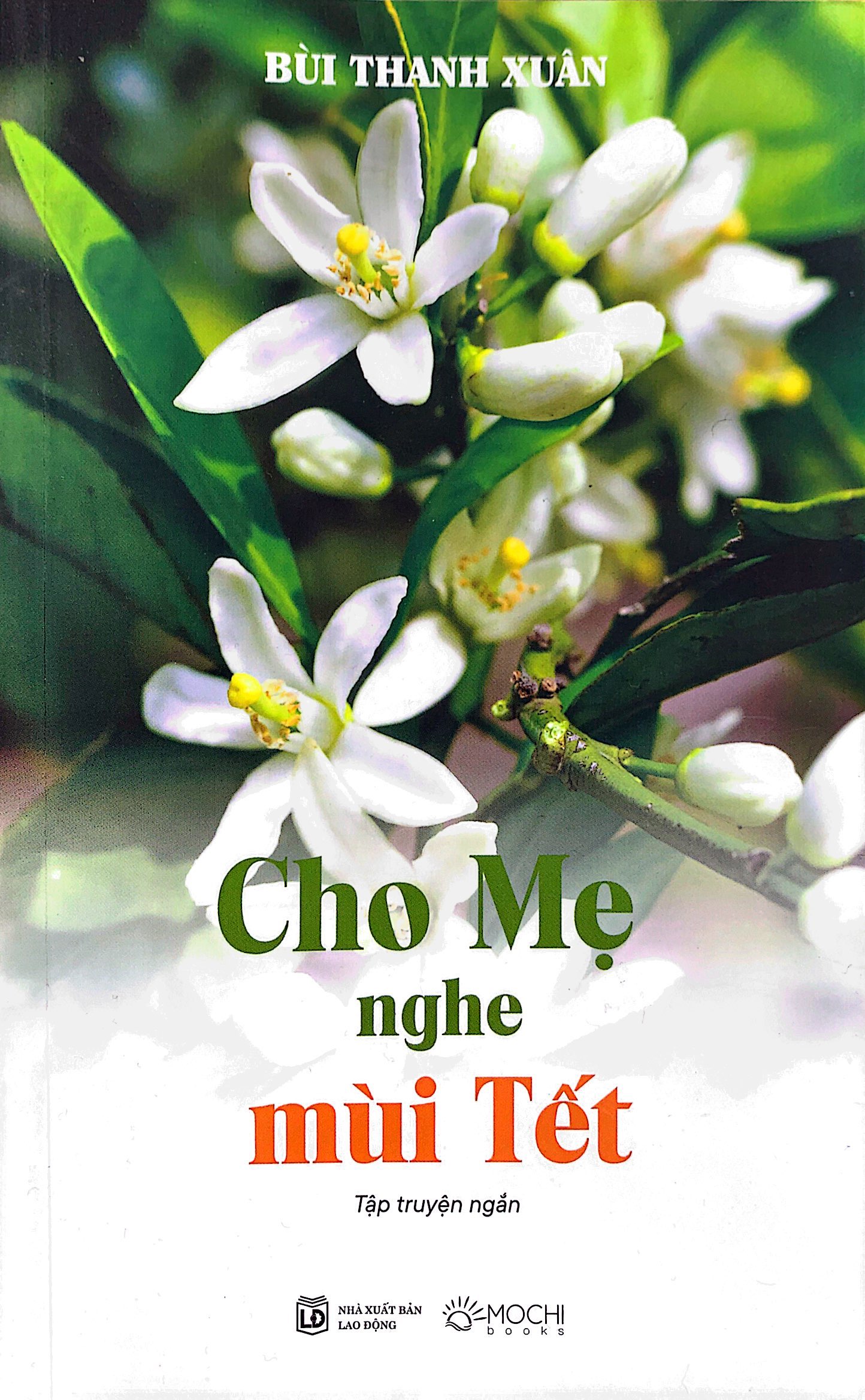 cho mẹ nghe mùi tết - Ảnh 2