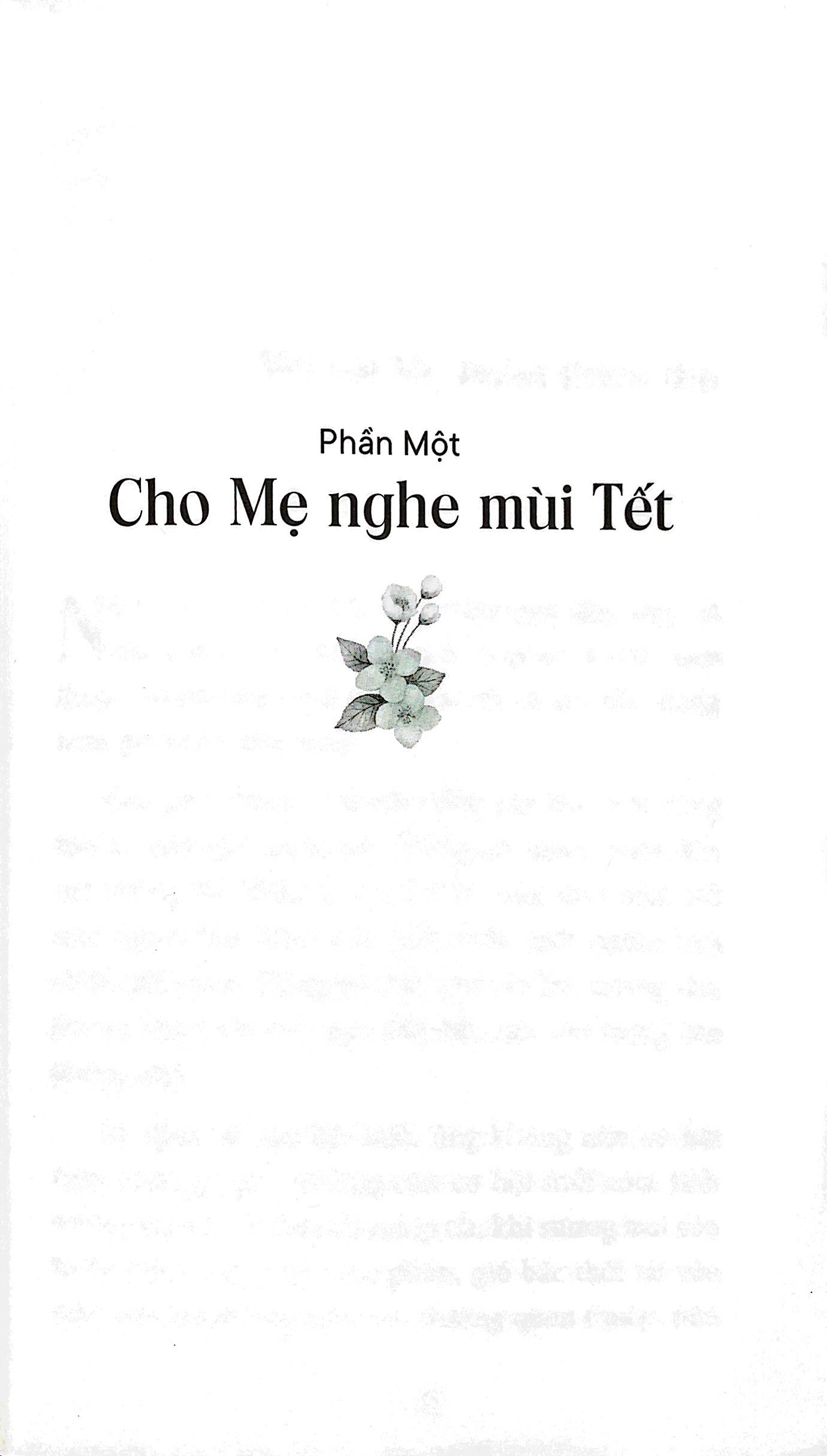 cho mẹ nghe mùi tết - Ảnh 5