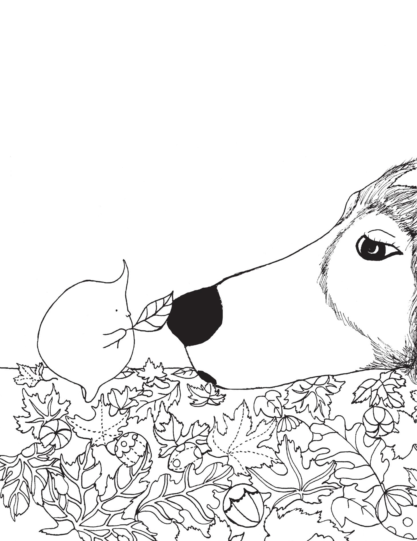 Chú Chó Bên Hiên Nhà - Ảnh 7