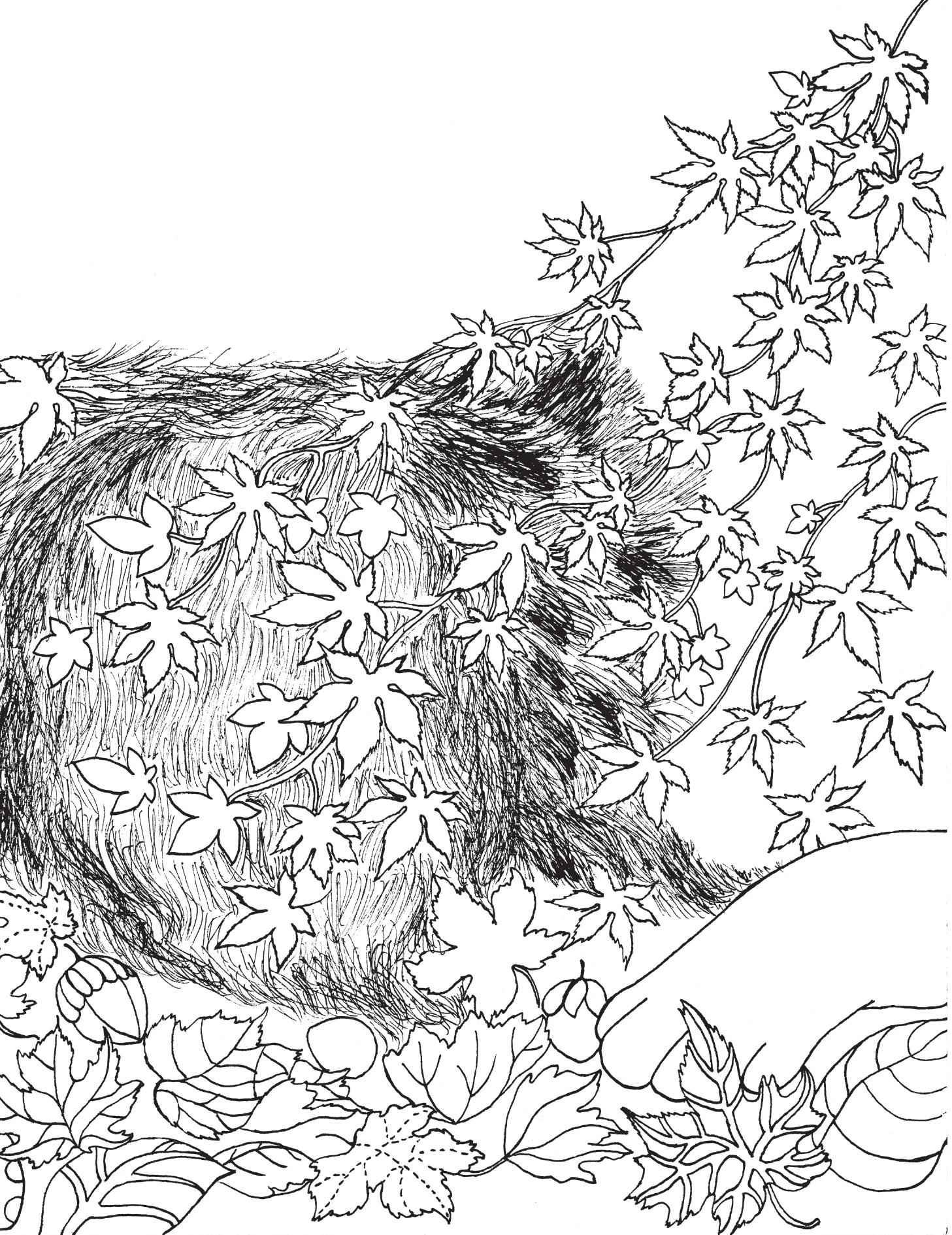 Chú Chó Bên Hiên Nhà - Ảnh 8